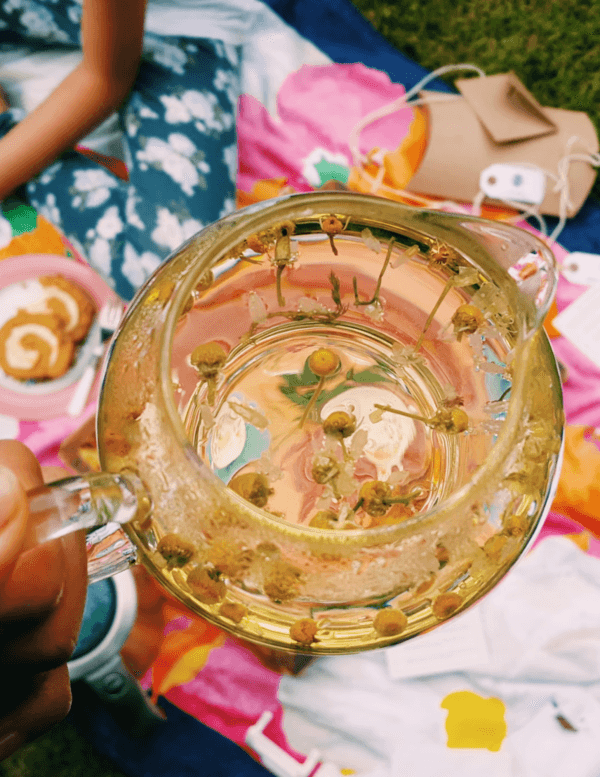 chamomile