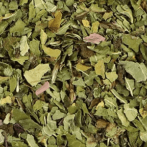 echinacea