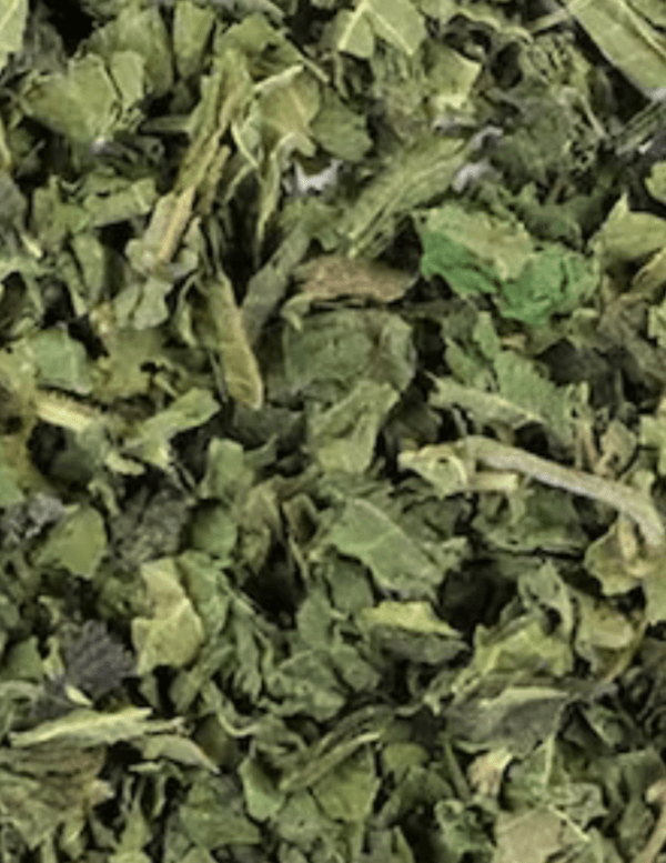 nettle leaf