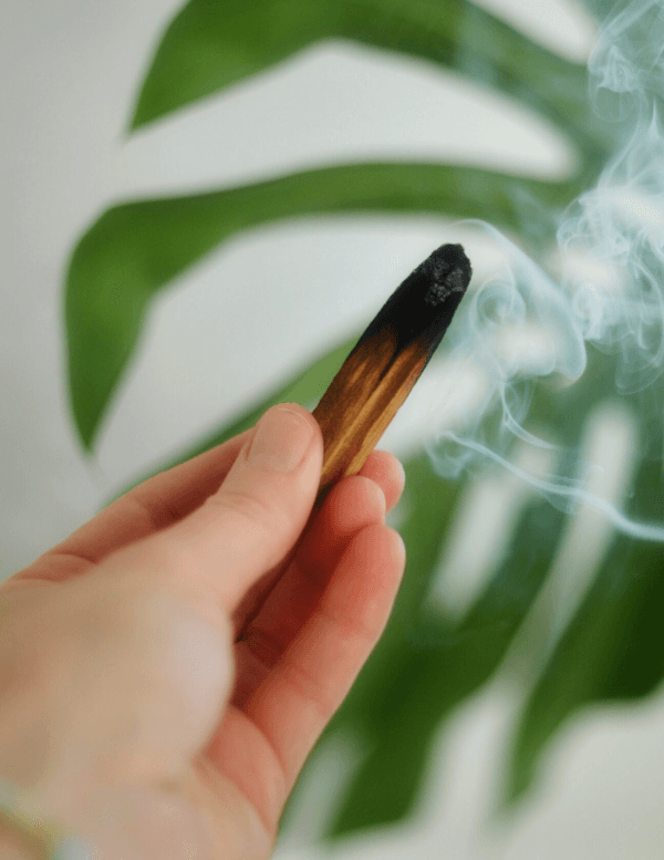 palo santo