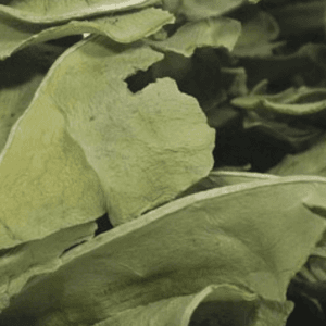 plantain leaf