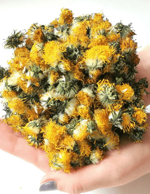 dandelion flowers
