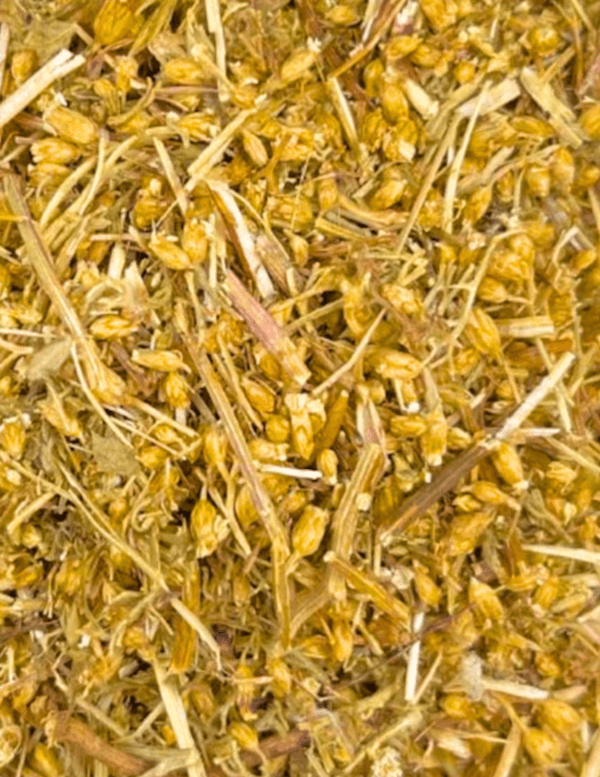 Yarrow ♡ (Organic & Dried): Digestive Health + Loose Herbs + Circulatory Health + Stress Reliever + Approx. 30 Servings