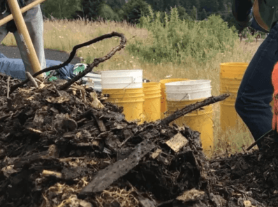 one tree planted