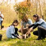 Why Hugging Trees is More Beneficial Than You Think