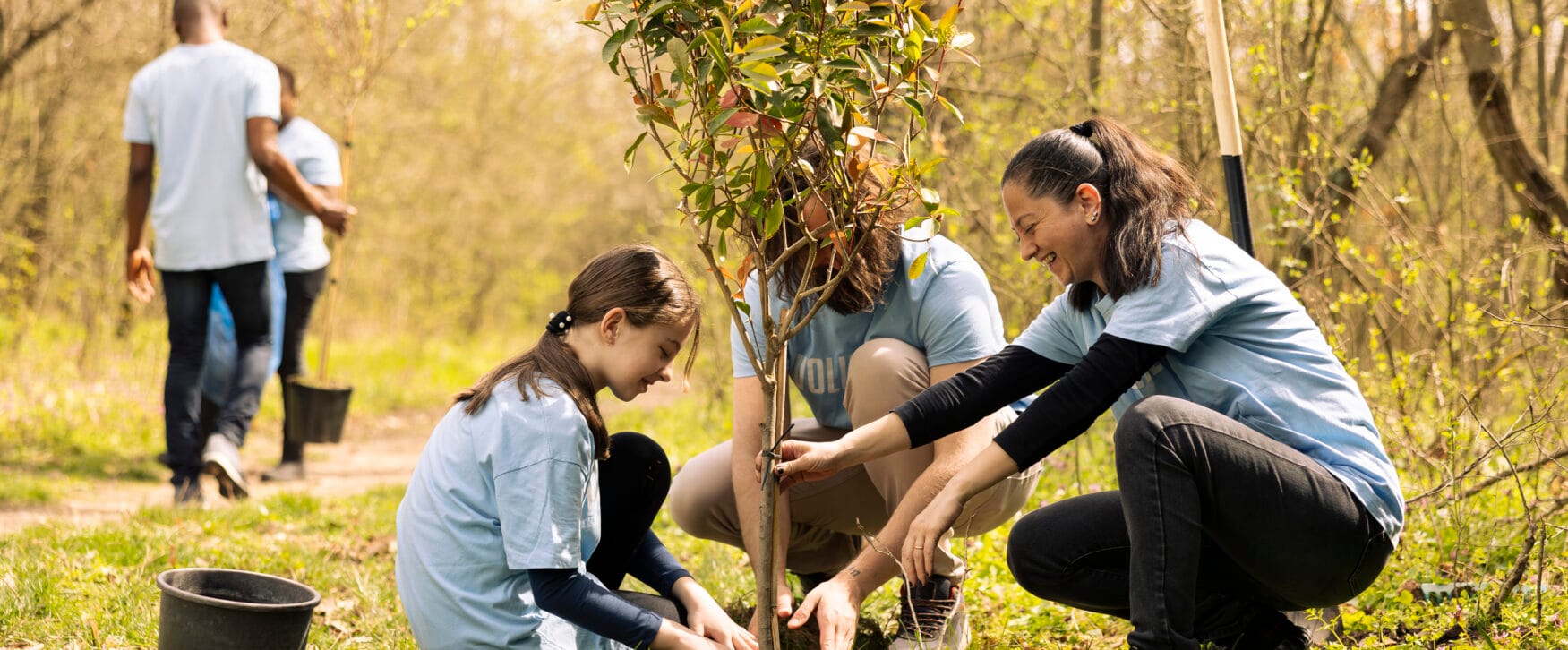the everything healer - taking care of nature