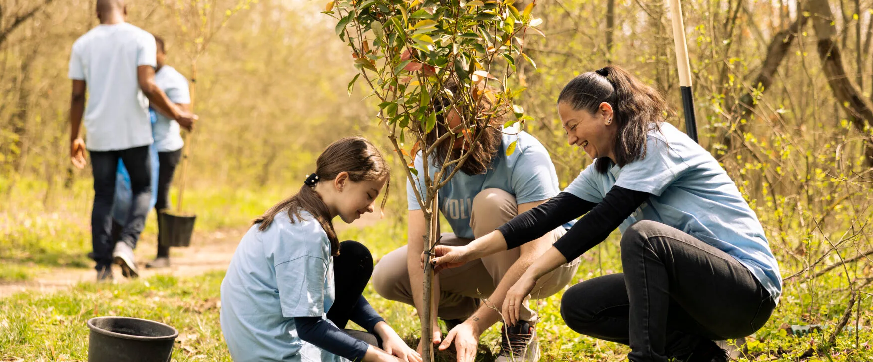 the everything healer - taking care of nature