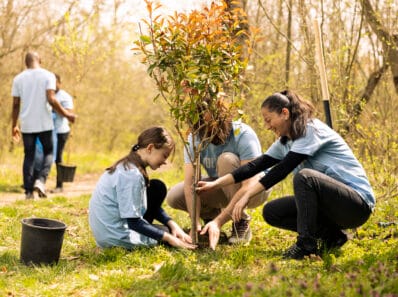 the everything healer - taking care of nature