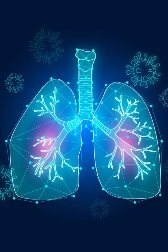 lung remedy herbal tea