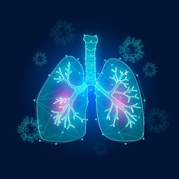 lung remedy herbal tea