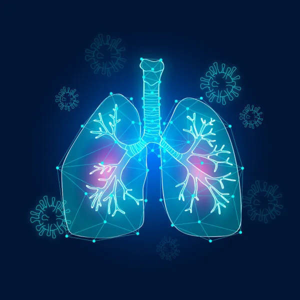 lung remedy herbal tea
