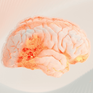 Brain Health & Focus Herbal Tea ♡ (Organic): Brain Support + Recovery Tea + Concentration Enhancer + Calm Focus + Try It Out Option + Approx. 40 Servings