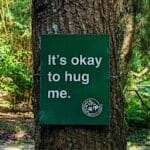 From Immune Support to Skin Health: The Many Benefits of Oil of Oregano