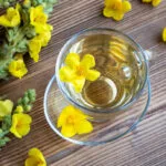 From Skin to Spirit: Exploring the Health and Spiritual Benefits of Rose Petals