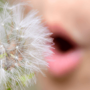 Lung Remedy Herbal Tea ♡ (Organic): Lung Support + Loose Herbs + Respiratory Health + Mucus Clearing + Approx. 30 Servings