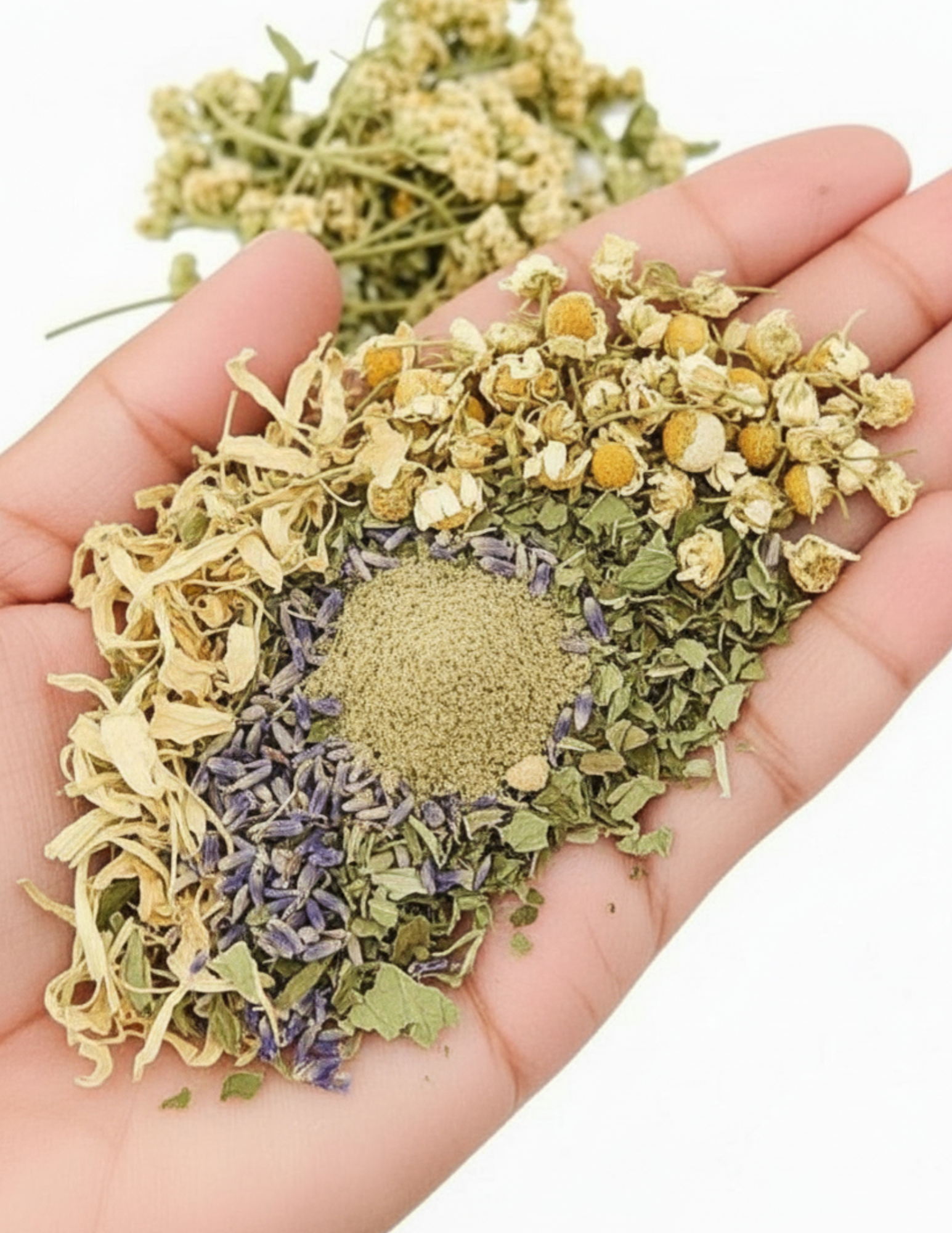 sleep and rest quest tea blend