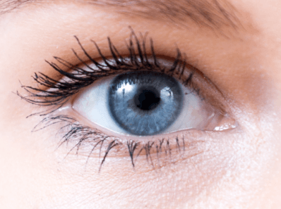 eyebright