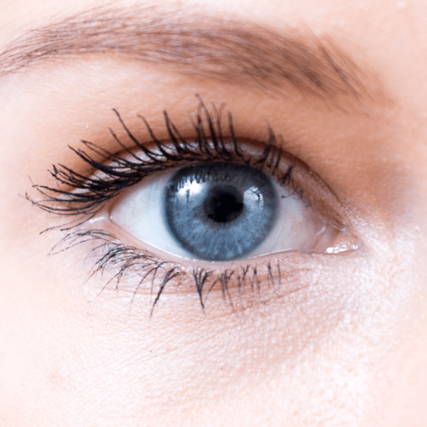 eyebright