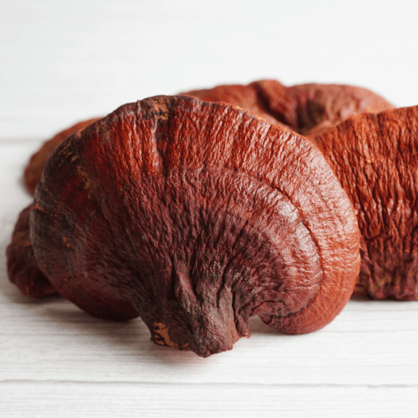 Reishi Mushroom Powder ♡ (Organic & Dried): Anti-Inflammatory + Heart Health + Immune Boost + Stress Relief + Healthy Adaptogen + Approx. 30 Servings - Image 2