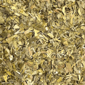 ginkgo biloba