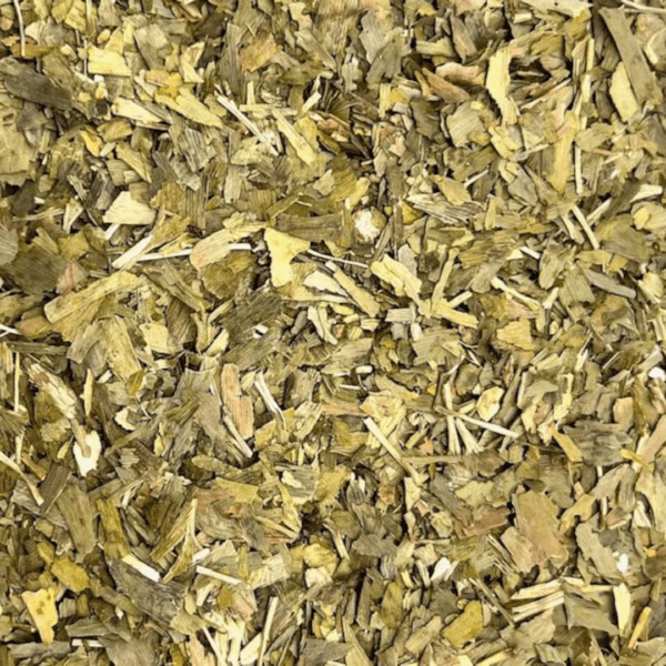ginkgo biloba