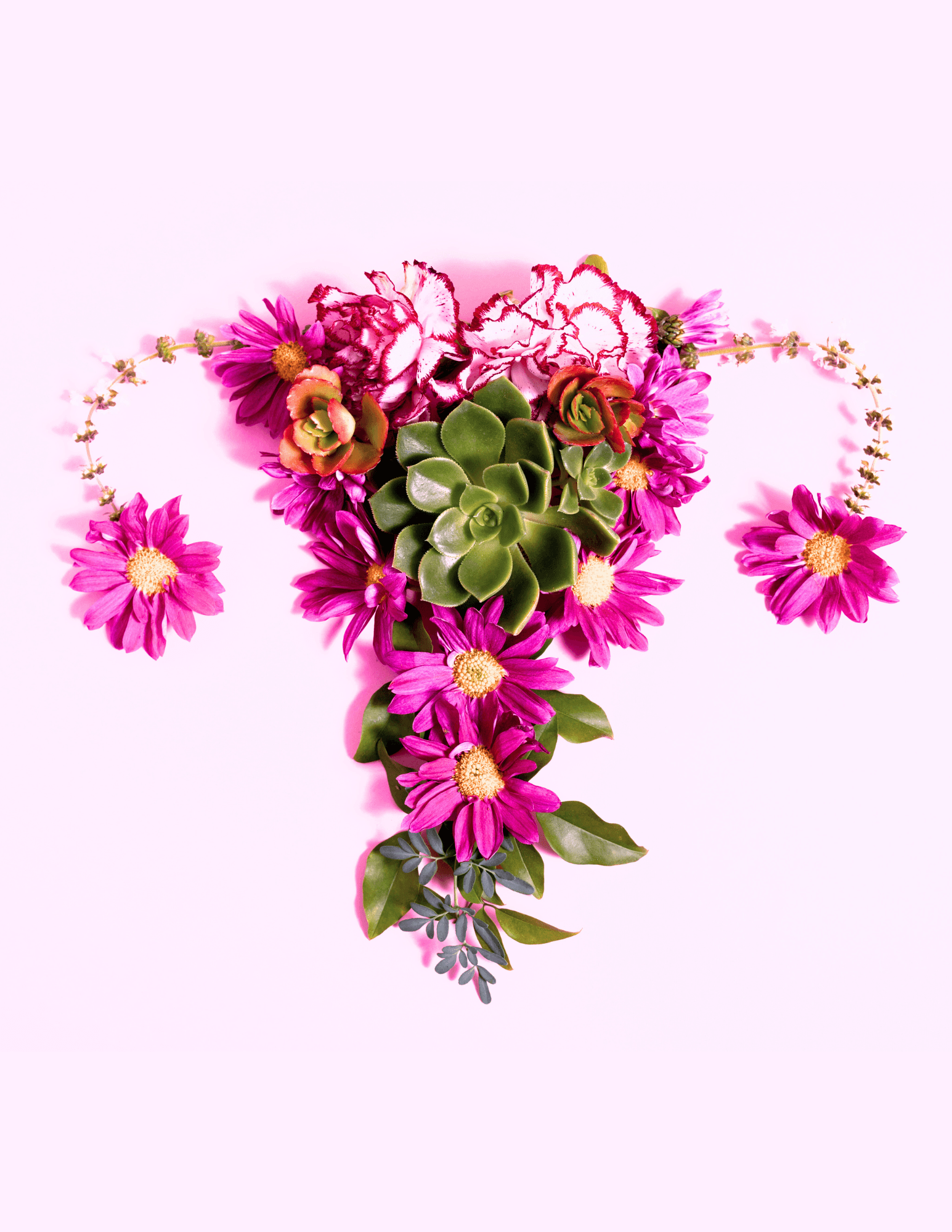 Womb & Hormone Health Herbal Tea ♡ (Organic): Women's Health + PCOS + Hot Flash Relief + Loose Herbs + Mood Booster + Hormone Balance + Try It Out Option Available + Approx. 40 Servings