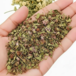 Kava Kava Root: The Ancient Relaxation Remedy for Modern Life