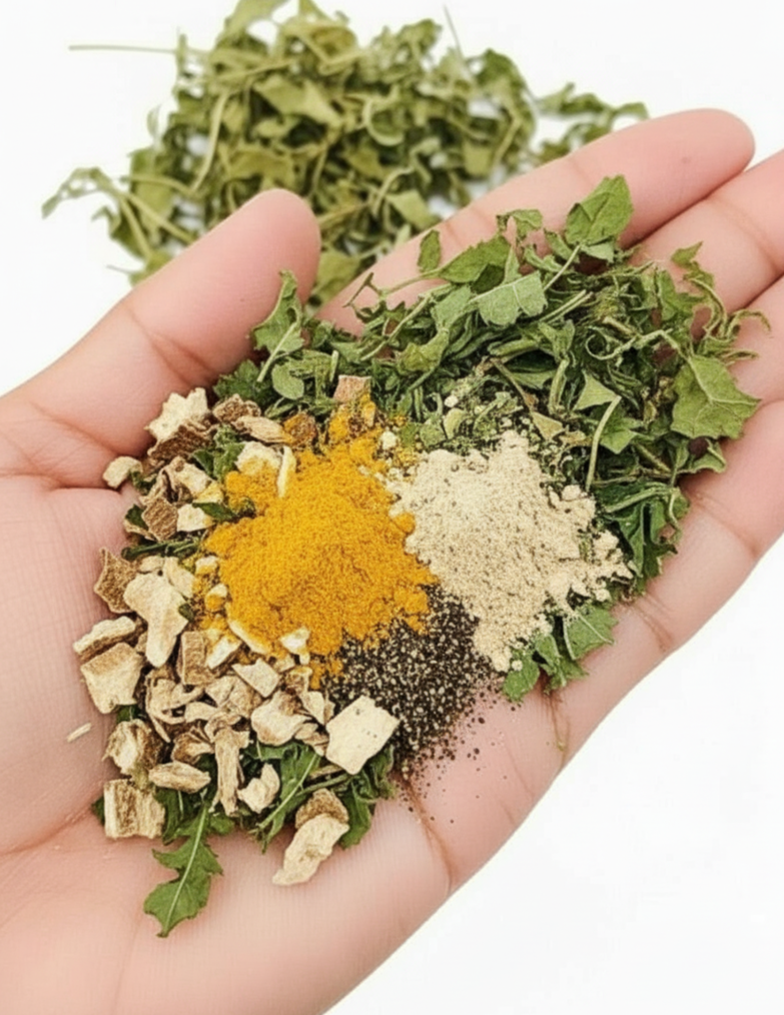 kidney support herbal tea